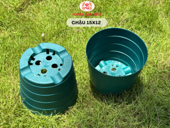 CHẬU NHỰA 15x12 - Ảnh 5